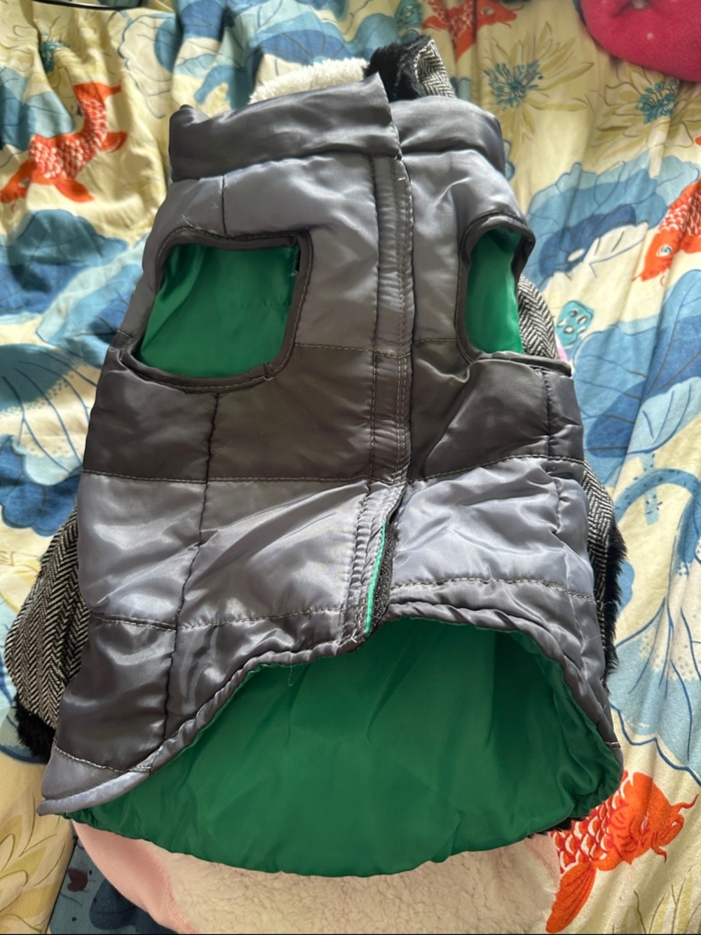 11 pieces of dog clothes - Picture 7 of 12
